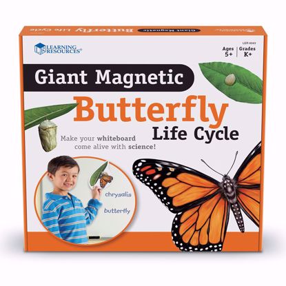 Picture of Magnetic Butterfly Life Cycle