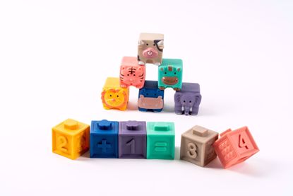 Picture of Soft Animal & Digital Building Blocks